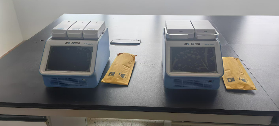 无锡96孔基因扩增仪PCR仪品牌排行 南京辰雨凡丽商贸供应