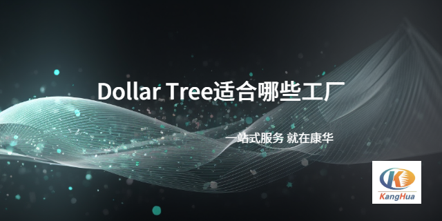 南通外贸工厂DT验厂DollerTree验厂认证代办 江苏康华企业管理咨询供应