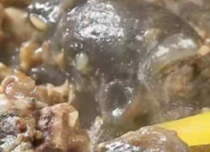 林下养殖原粮喂养