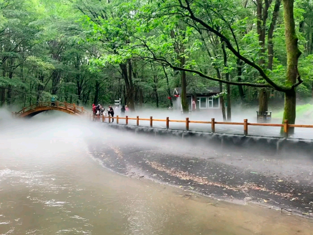 浙江酒店景观造雾设备供应 浙环智能科技供应