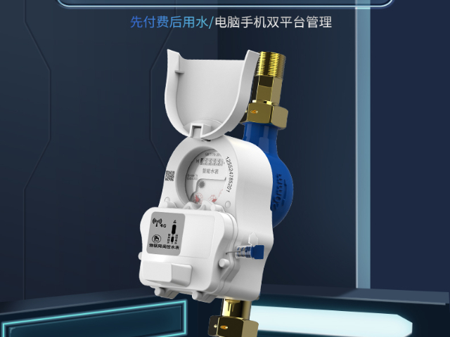 福建保障房智能水表價格是多少 浙江施王物聯科技供應