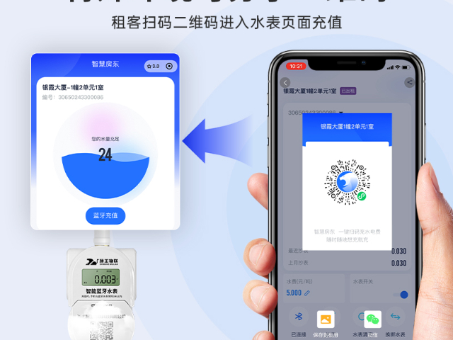 深圳远程智能水表工厂 浙江施王物联科技供应;