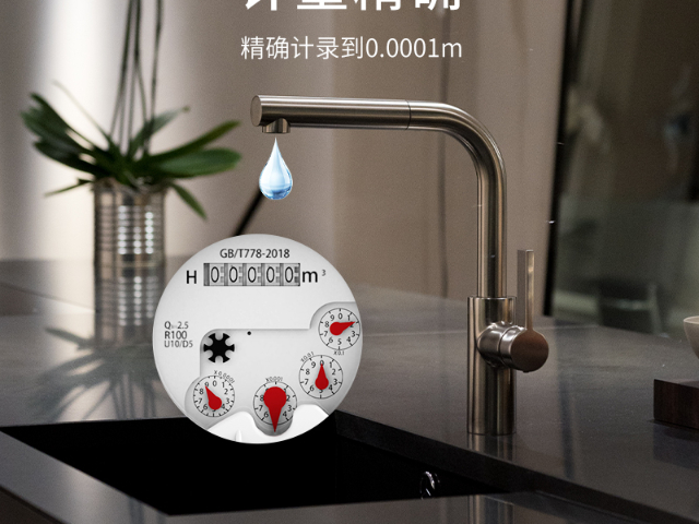常州智能水表生產(chǎn)商 浙江施王物聯(lián)科技供應