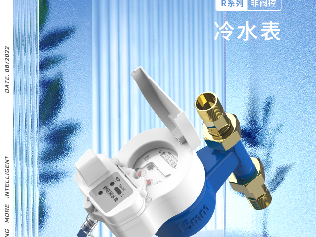 上海保障房智能水表品牌 浙江施王物聯科技供應