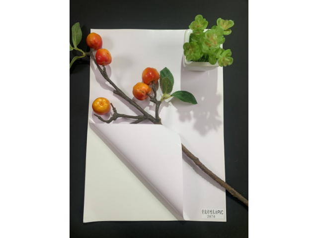 海南A3彩噴紙報(bào)價(jià) 誠信經(jīng)營 溫州希諾特?cái)?shù)碼材料供應(yīng)