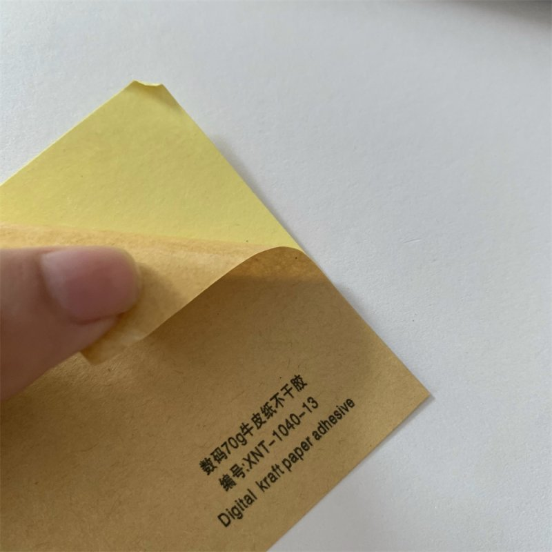 海南質(zhì)量激光不干膠哪里好 誠(chéng)信服務(wù) 溫州希諾特?cái)?shù)碼材料供應(yīng)