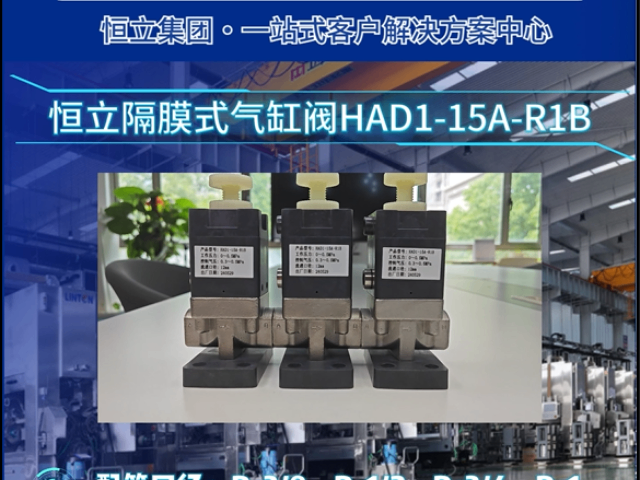 江蘇什么是隔膜式氣缸閥 客戶至上 恒立佳創精密工業設備供應