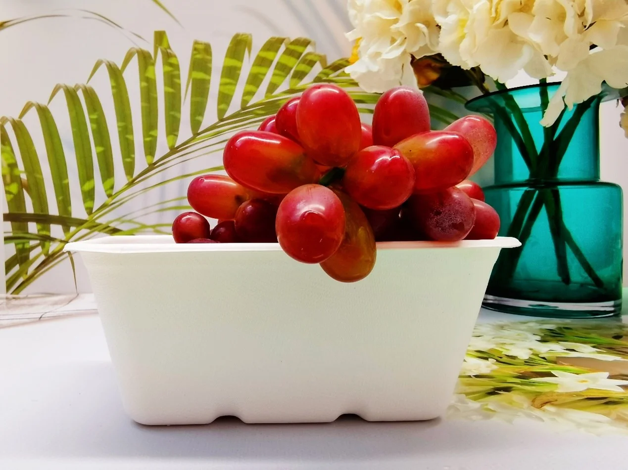 GCOVE Pulp Moulded Fruit and Vegetable Containers, a tiny and elegant