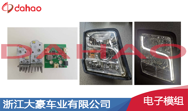 湖南专业车灯电子驱动制造厂家 浙江大豪车业供应