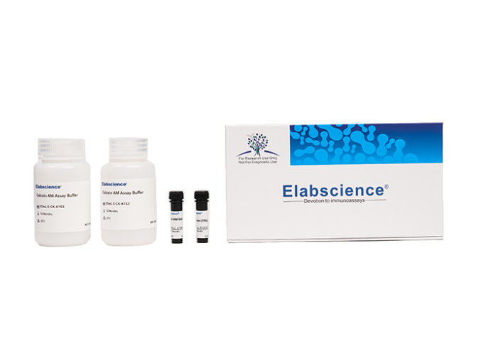 植物可溶性糖比色法測試盒Elabscience公司,Elabscience