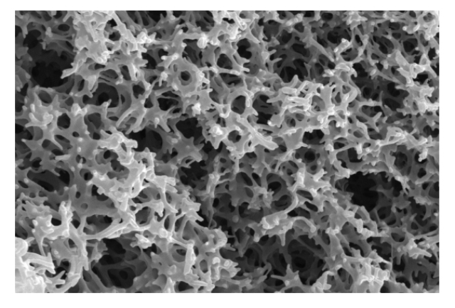 成都膜普气体分离中空纤维膜报价 成都膜普生物科技供应