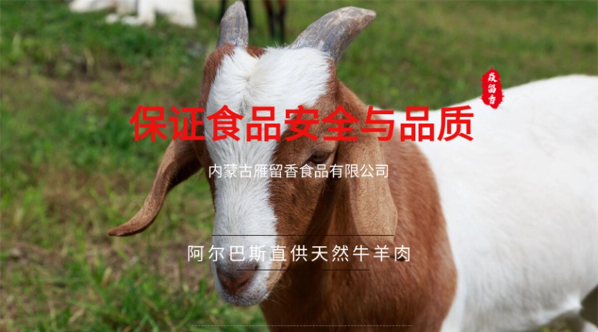 上海价值含量内蒙古牛羊肉源头厂家,内蒙古牛羊肉源头厂家