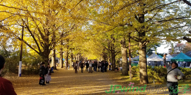 本科日本留学学费