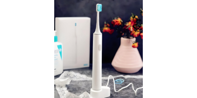 宁波人工智能电动牙刷方案