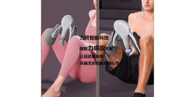 天津人性化盆底肌修复器分类 设计 深圳市力灵智能科技供应