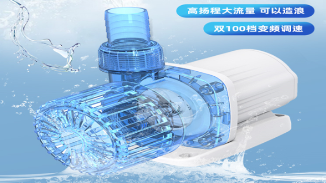 广州质量海鲜池循环水泵推荐厂家