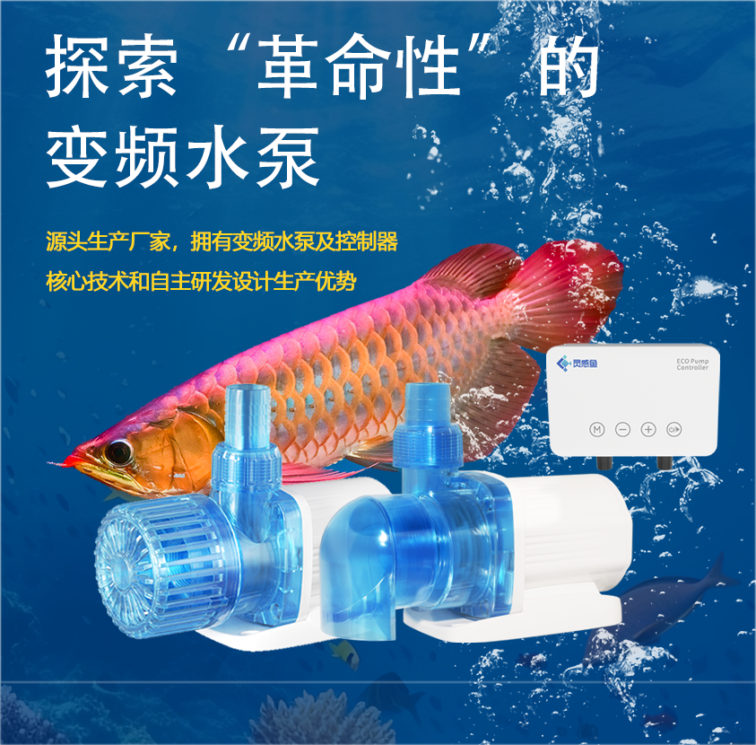 靈感魚水泵