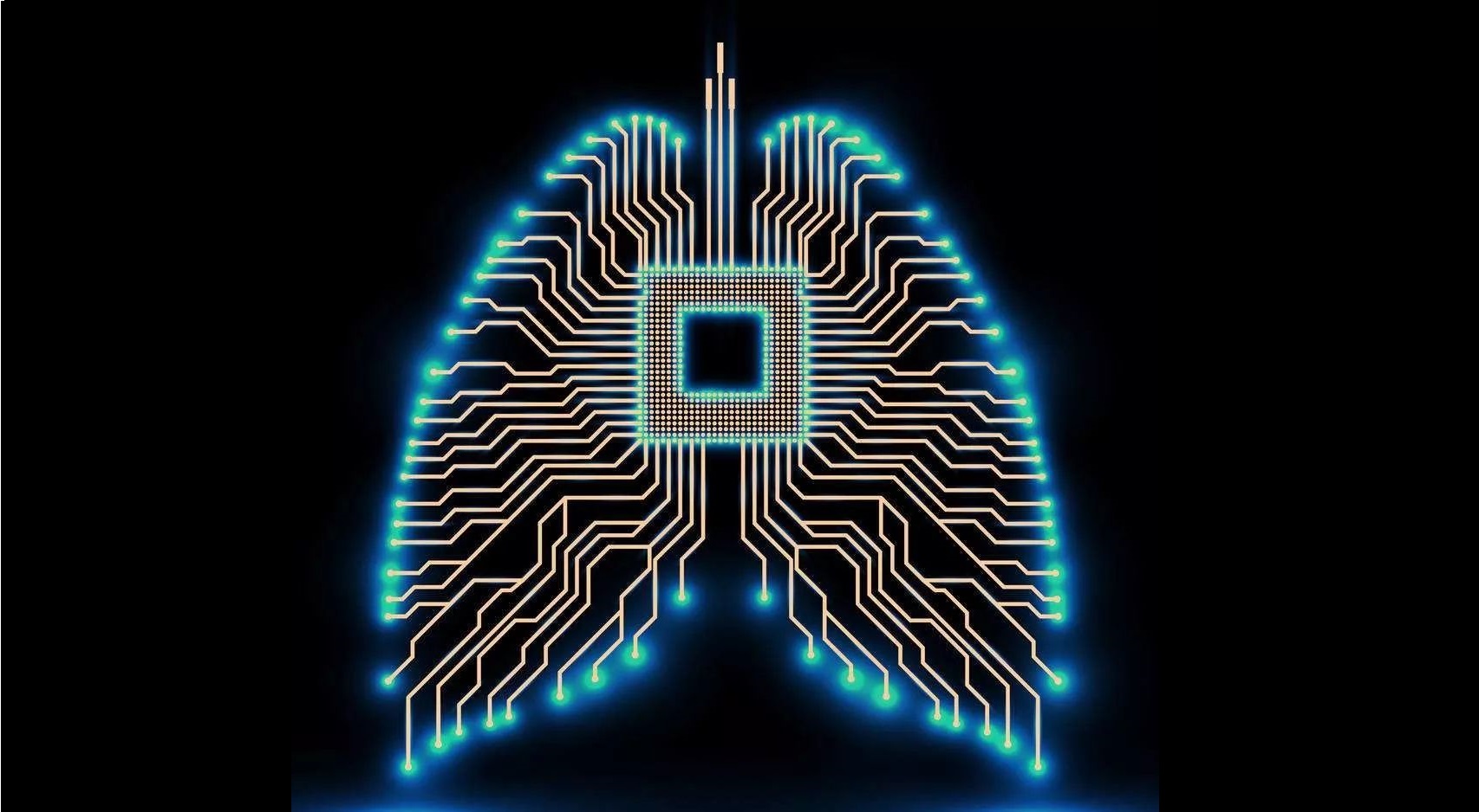 素材芯片6 - 2.jpeg