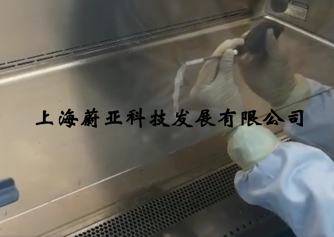 北京生物安全柜無塵室檢測認真負責