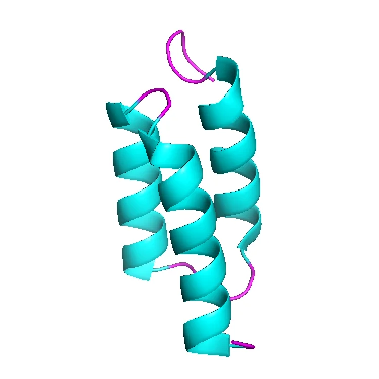 Protein A of affinity chromatography