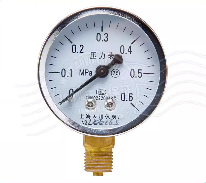 天川压力表_上海田洁新能源有限公司