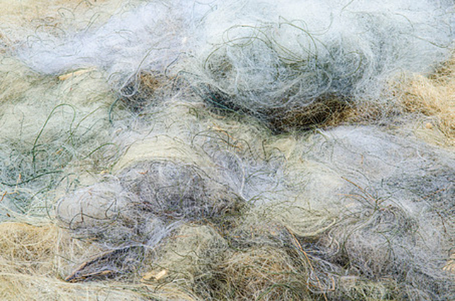 苏州食品级PCR低碳排放材料 苏州沃德夫新材料科技供应