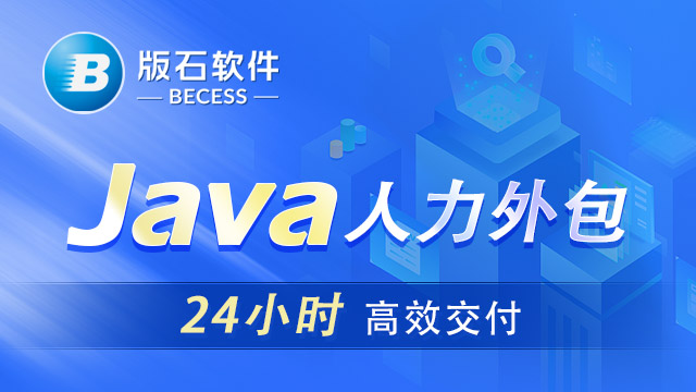 重庆有名的java人员外包人力资源公司 江苏版石软件股份供应
