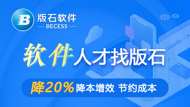 广东比较好的软件人员外包排行 江苏版石软件股份供应