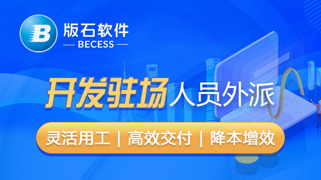 江西有名的开发驻场服务商 江苏版石软件股份供应