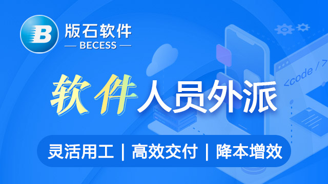 天津软件人员外包 江苏版石软件股份供应