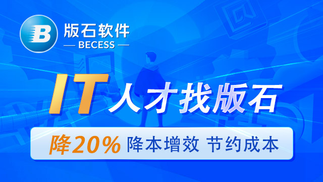 甘肅有名的it人員外包有哪些 江蘇版石軟件股份供應