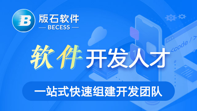 杭州比较好的软件人员外包排名 江苏版石软件股份供应