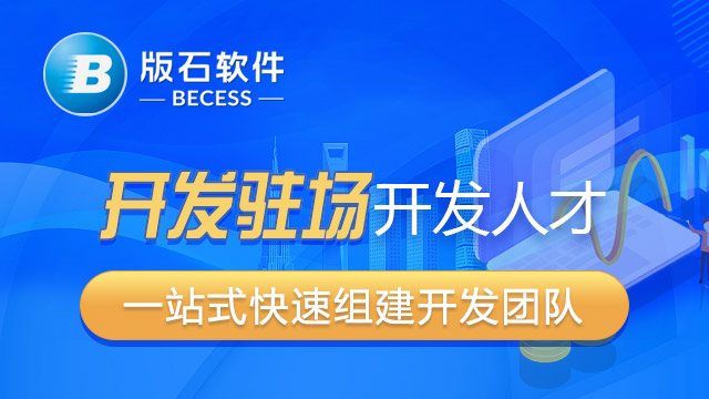 重庆有名的开发驻场价格 江苏版石软件股份供应