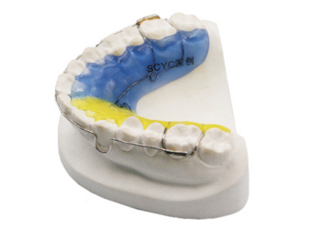 安徽牙齿间隙保持器定制价格 深圳市深创义齿技术供应