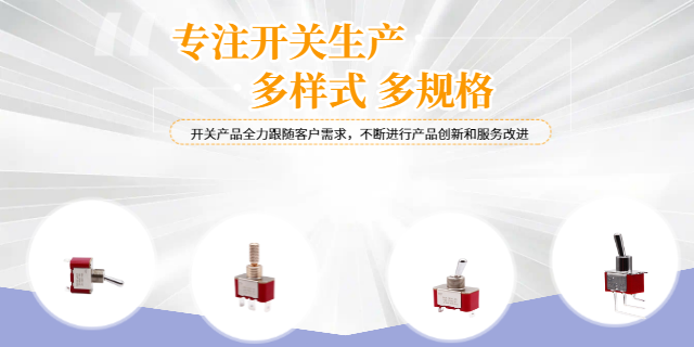 广东灵敏度高钮子开关服务可靠 源丰电子供应