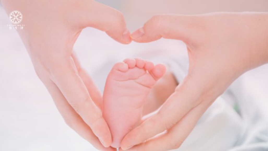 昆明深受欢迎品牌育生泽提供从备孕到养娃的咨询调理服务机构
