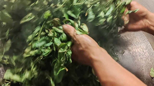 福建牛欄坑武夷巖茶怎么泡 創(chuàng)新服務(wù) 福建桭興堂文化發(fā)展集團(tuán)供應(yīng)