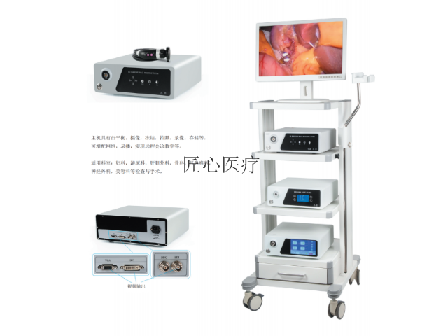 项目宠物腹腔镜价位 欢迎来电 南京匠心医疗科技供应