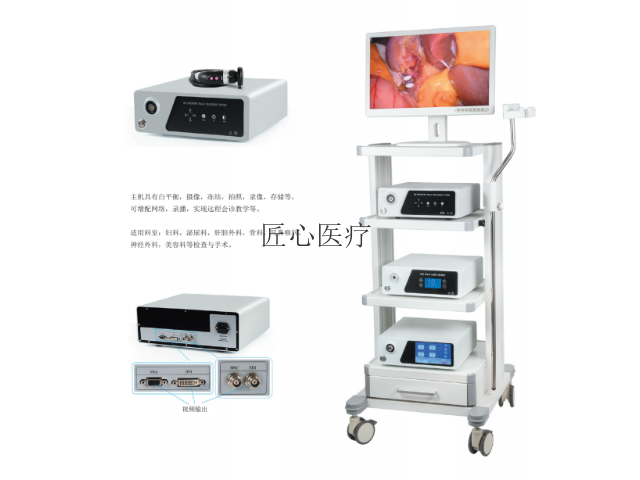 便宜的宠物腹腔镜价格网 欢迎来电 南京匠心医疗科技供应