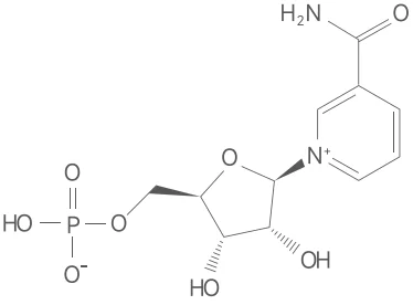 β-Nicotinamide Mononucleotide CAS