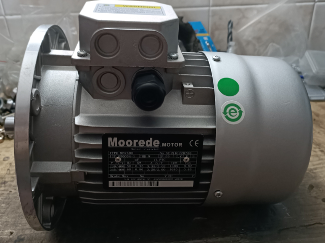 真空泵设备Moorede电机品牌
