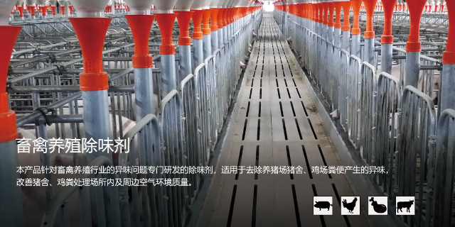 石家莊天然養豬場除臭劑效果好 上海啟菲特環保生物技術供應