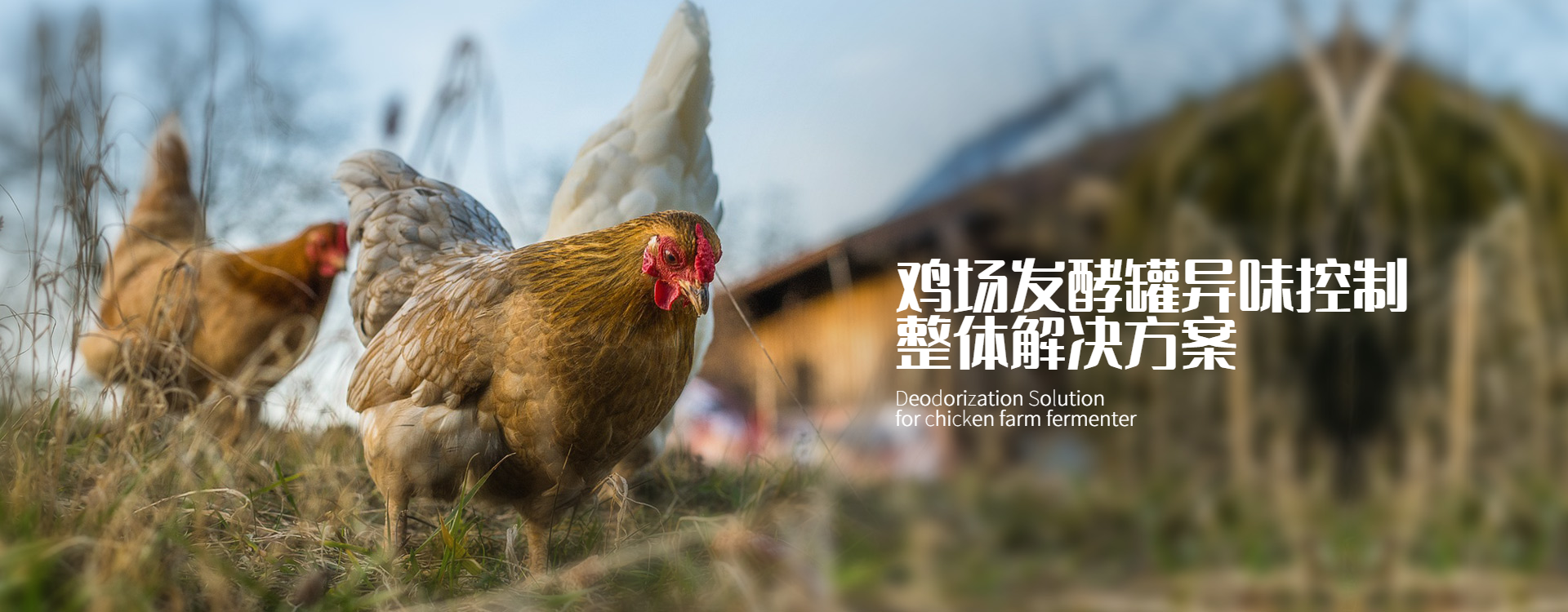 上海启菲特环保生物技术有限公司