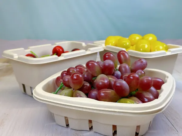 Fruit and Vegetable Tray  Supply