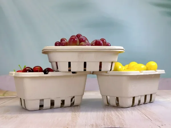 Fruit and Vegetable Tray