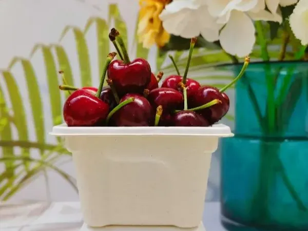 Fruit and Vegetable Tray Provide