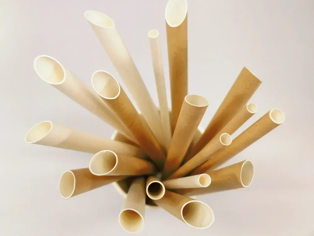eco-friendly biodegradable paper straws for sale