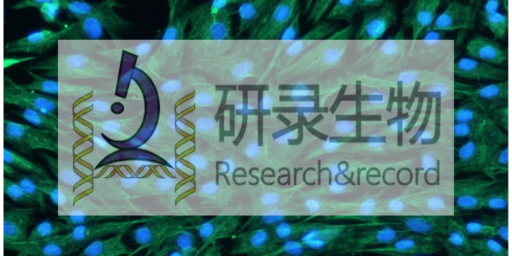 上海小鼠原代细胞技术,原代细胞
