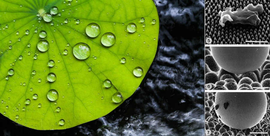 花都信息纳米防水