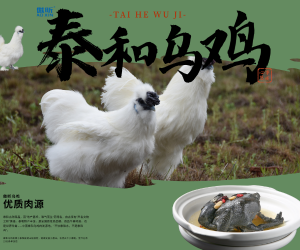 一份地道乌鸡，品百味人生